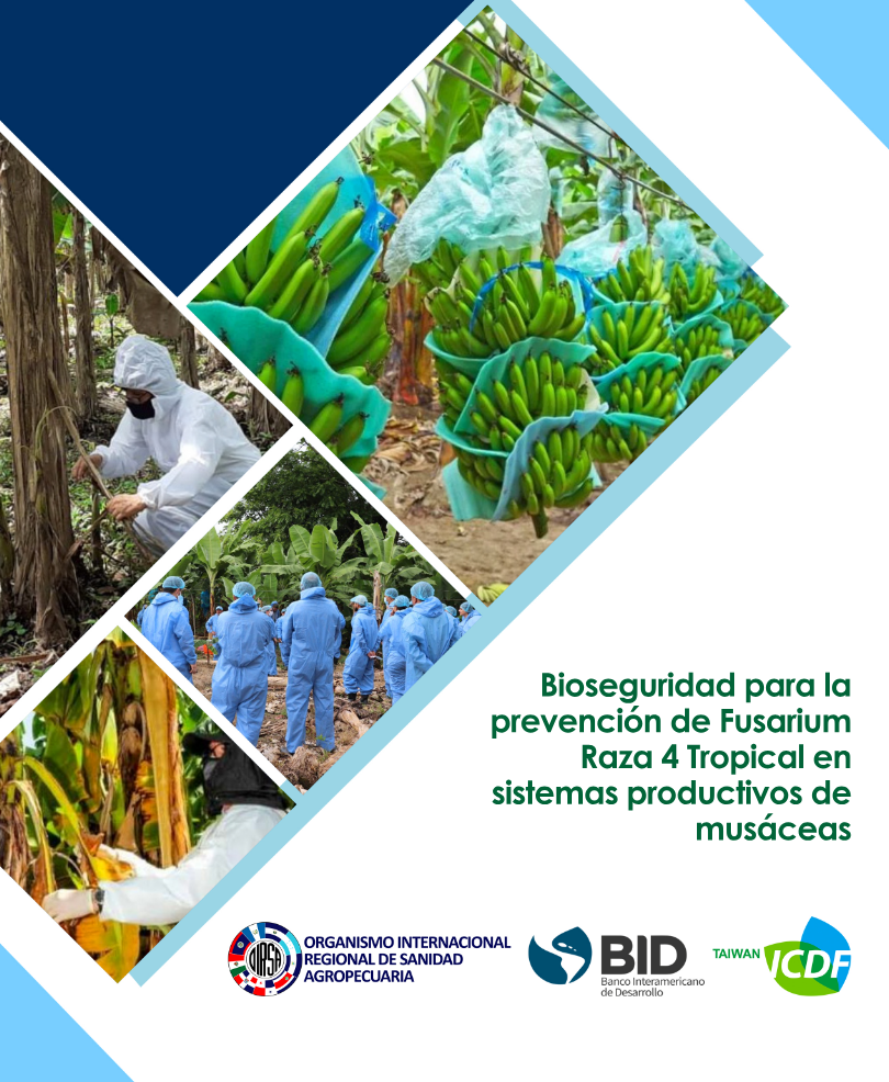 Empresa Tecnológica