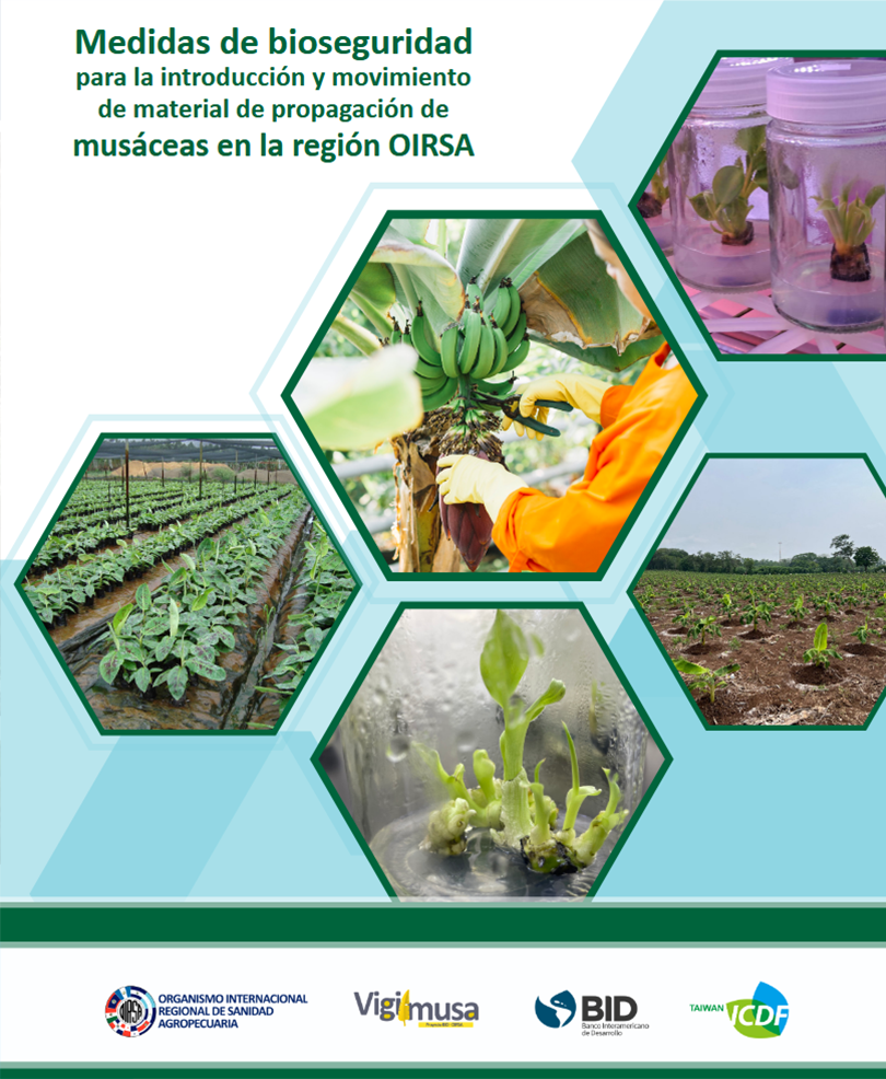 Empresa Tecnológica